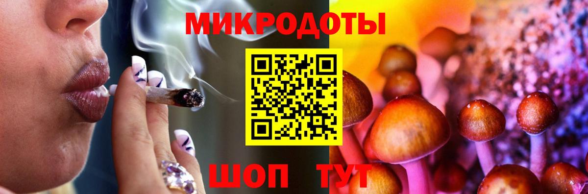 Родники  Псилоцибиновые грибы Cubensis  Вход с VPN 